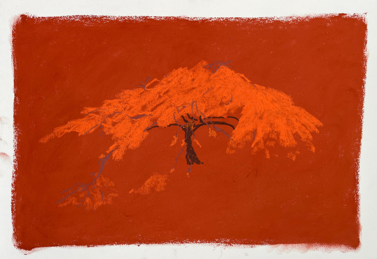 Japanese Garden at Regent's Park