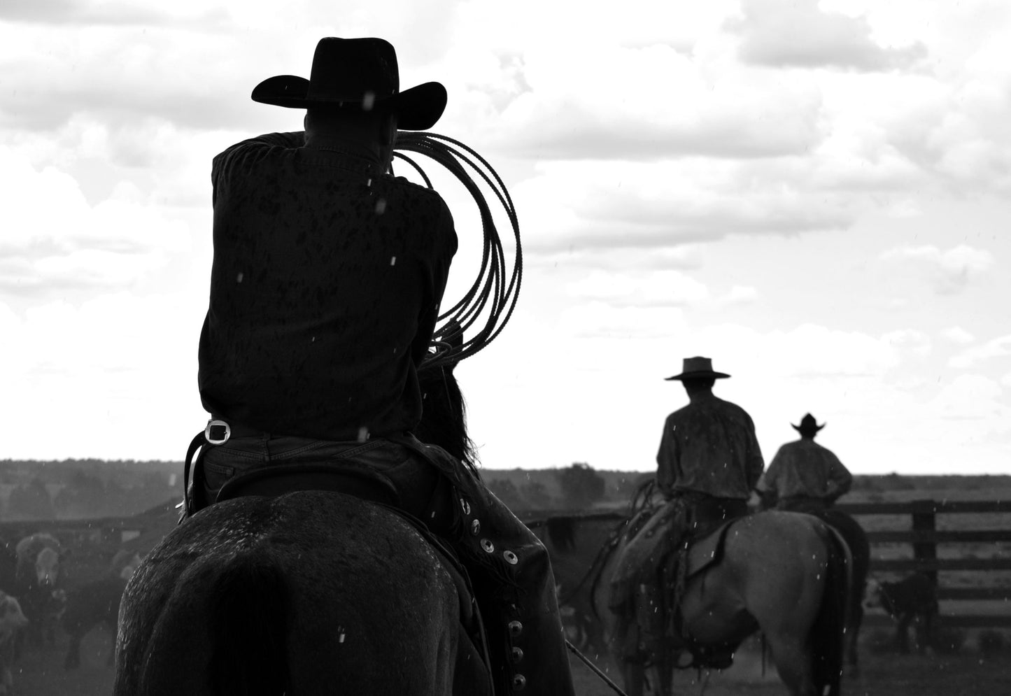 Untitled #3. New Mexico