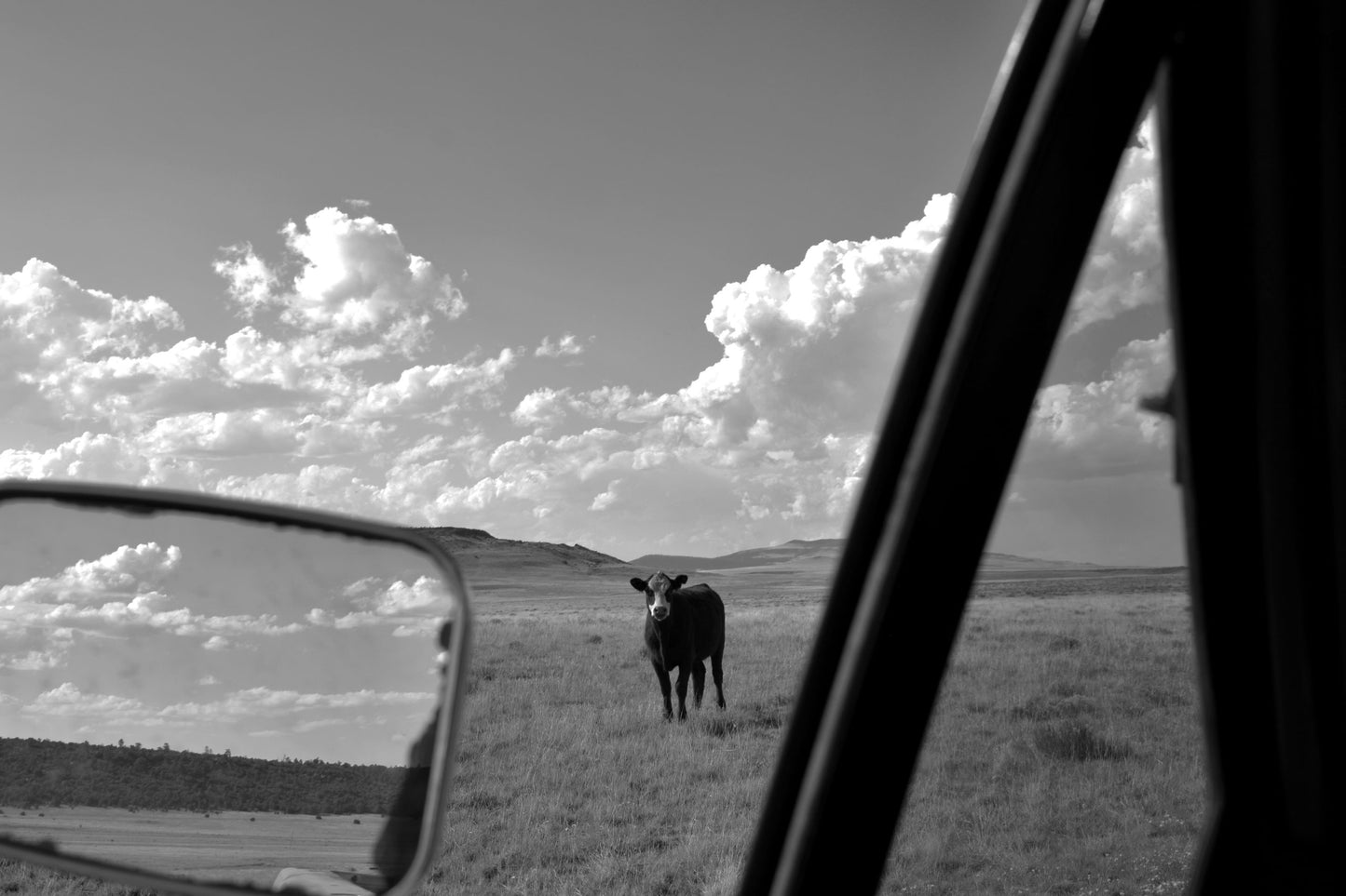 Untitled #4. New Mexico