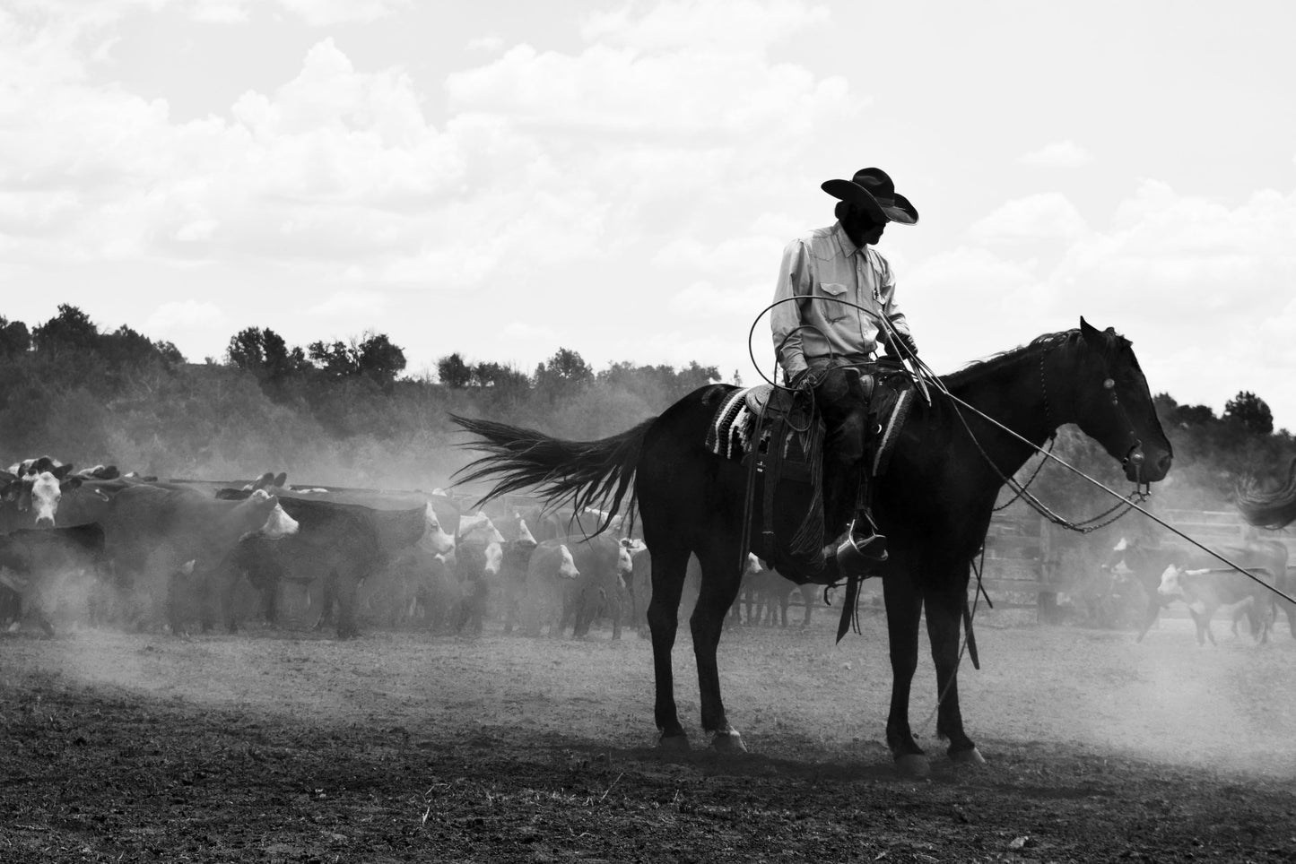 Untitled #5. New Mexico