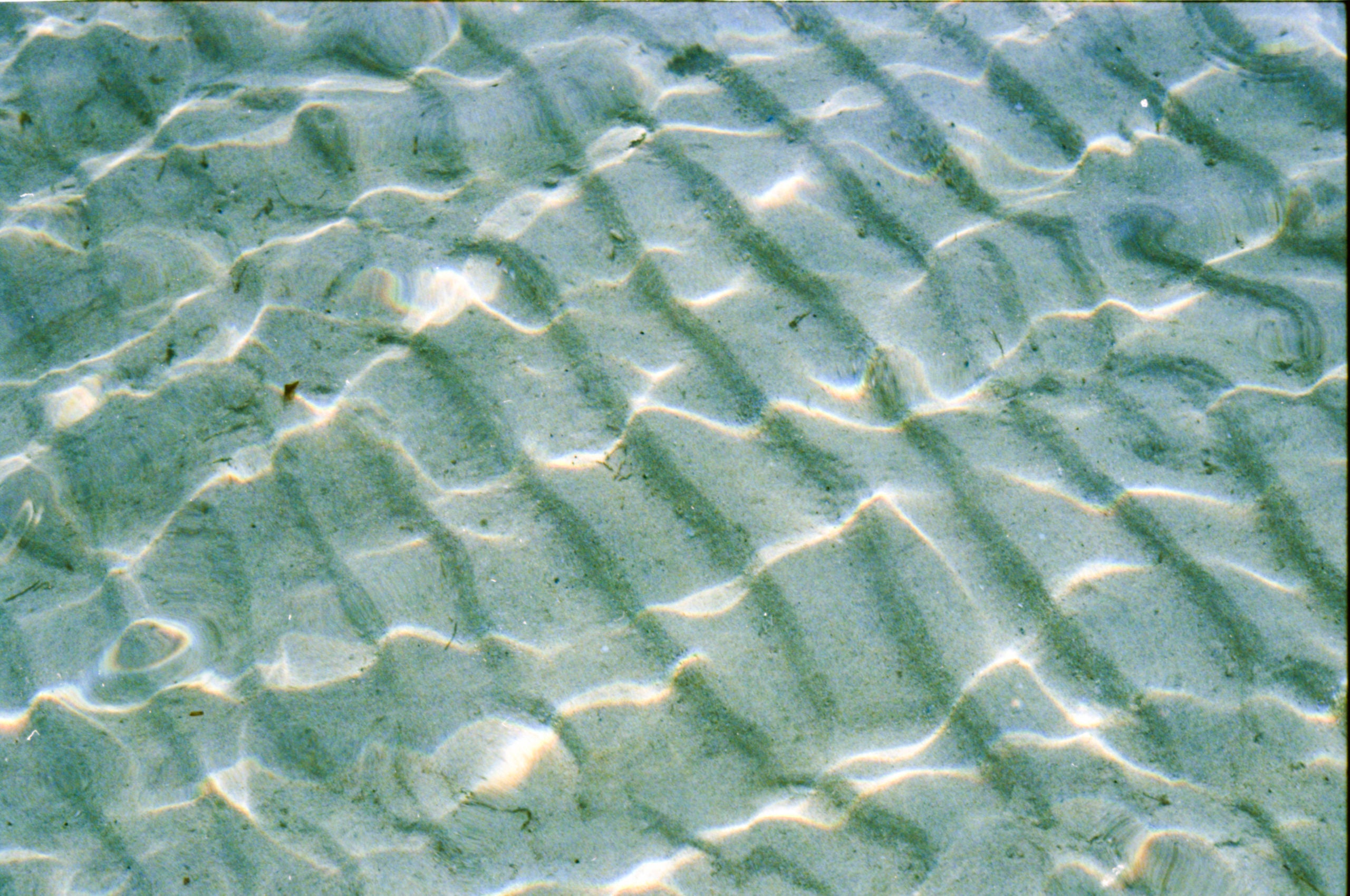 Ripples – RedDot Culture