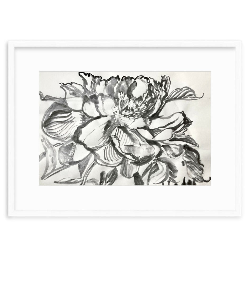 Composition Peony