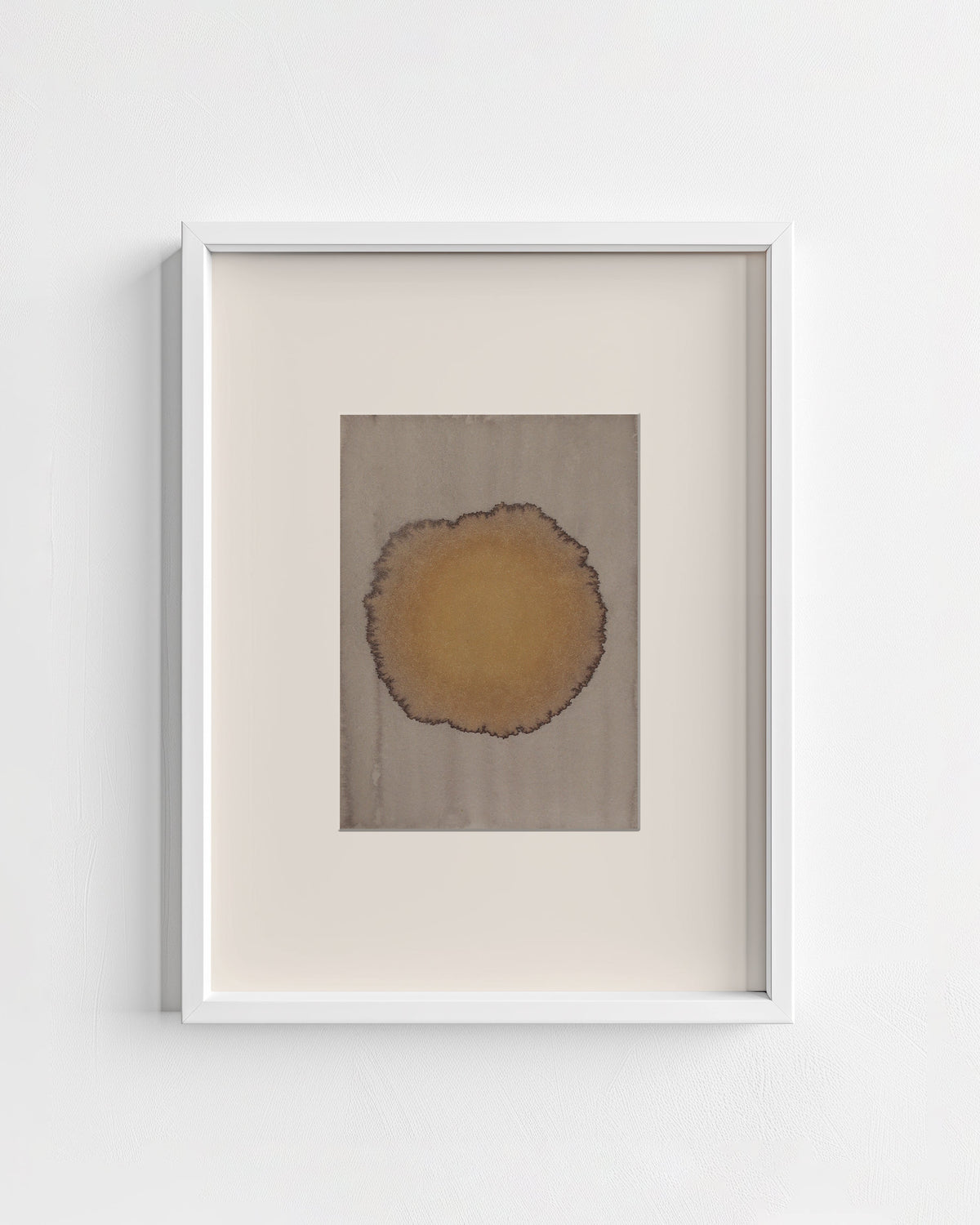 Celestial Aura 16 (Scuppernong River - Columbia, NC)