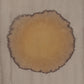 Celestial Aura 16 (Scuppernong River - Columbia, NC)