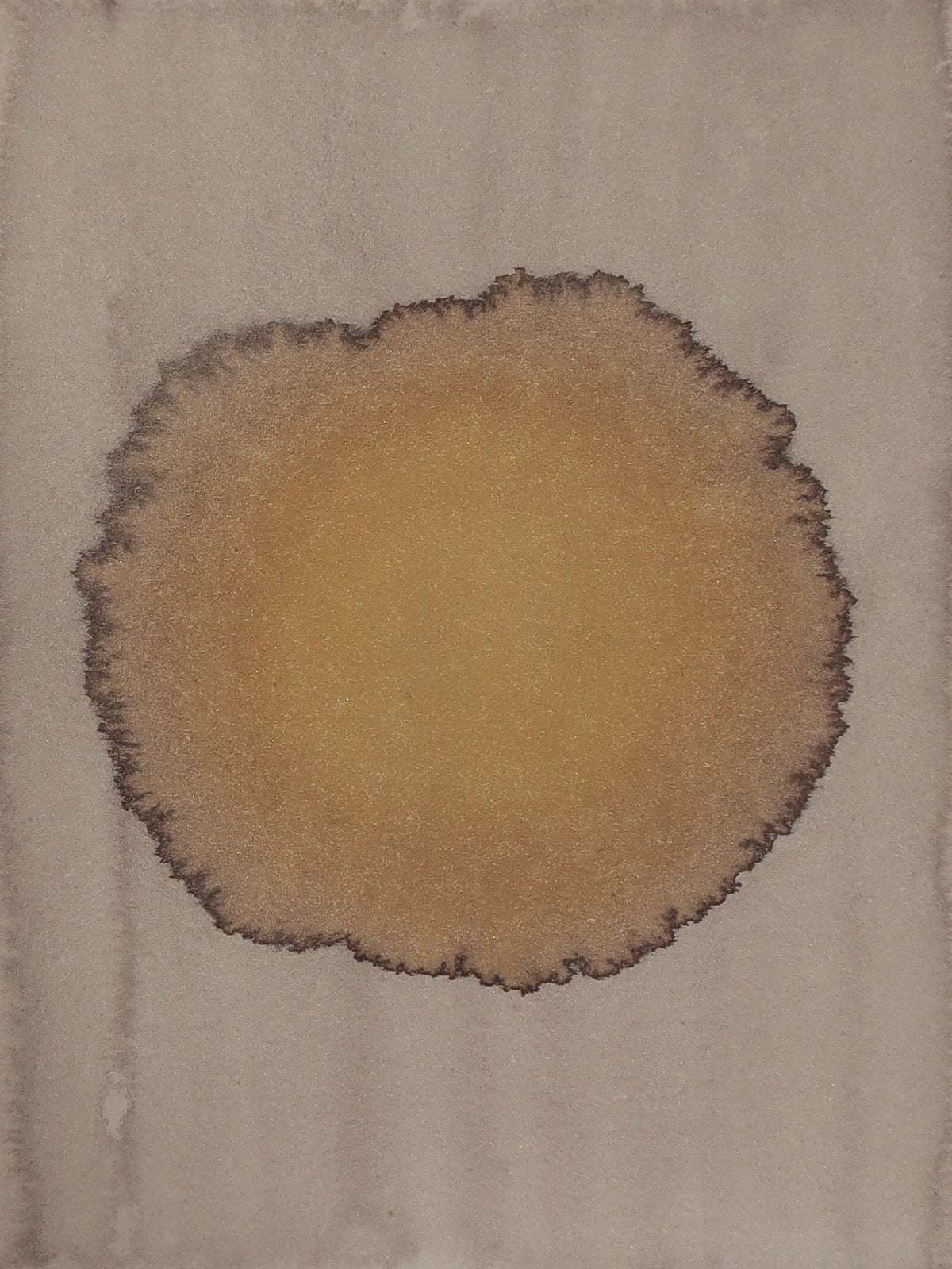Celestial Aura 16 (Scuppernong River - Columbia, NC)