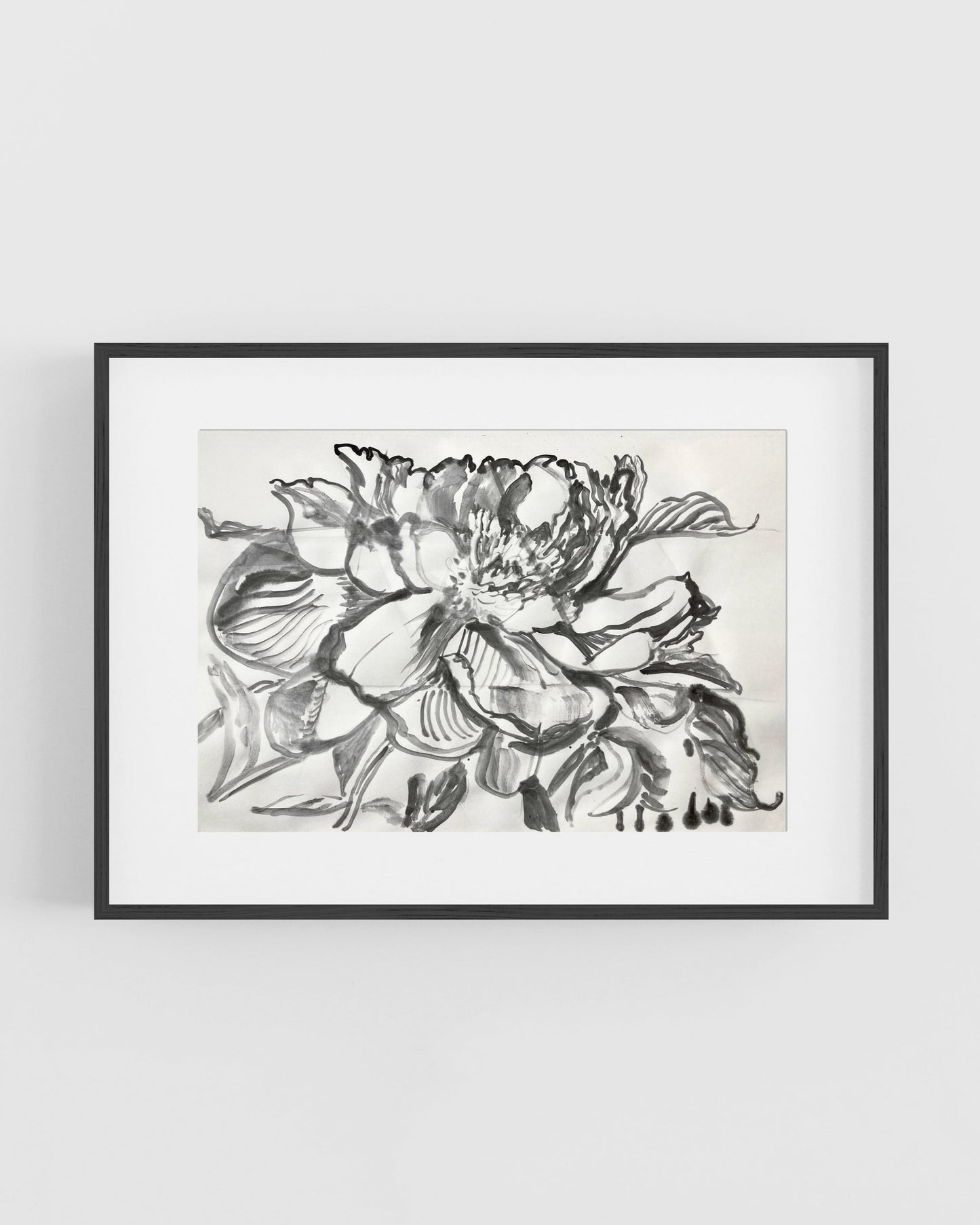 Composition Peony