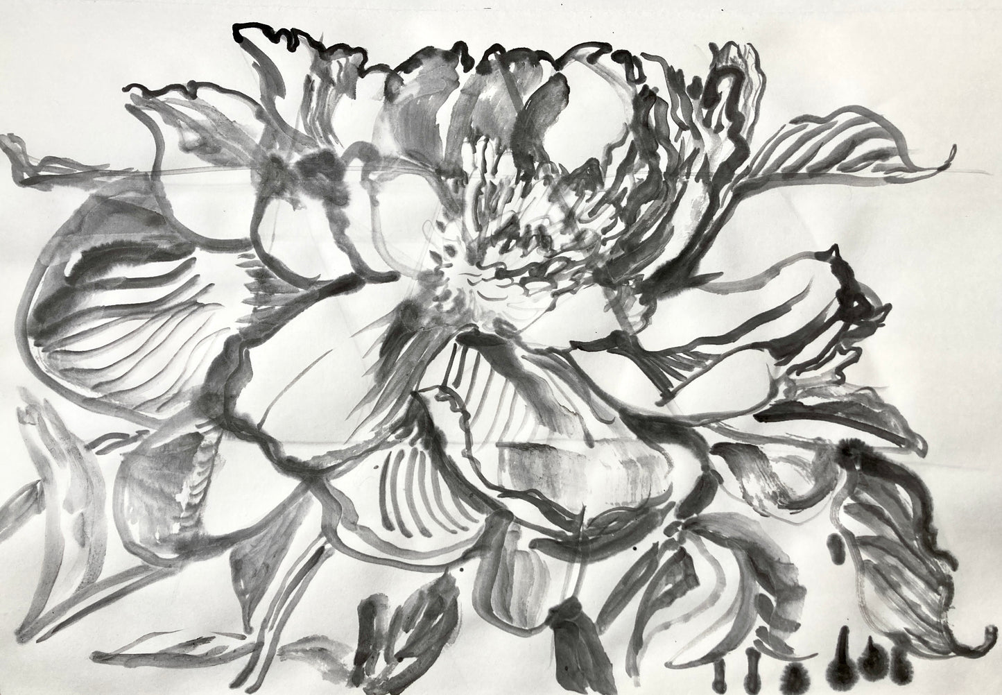 Composition Peony