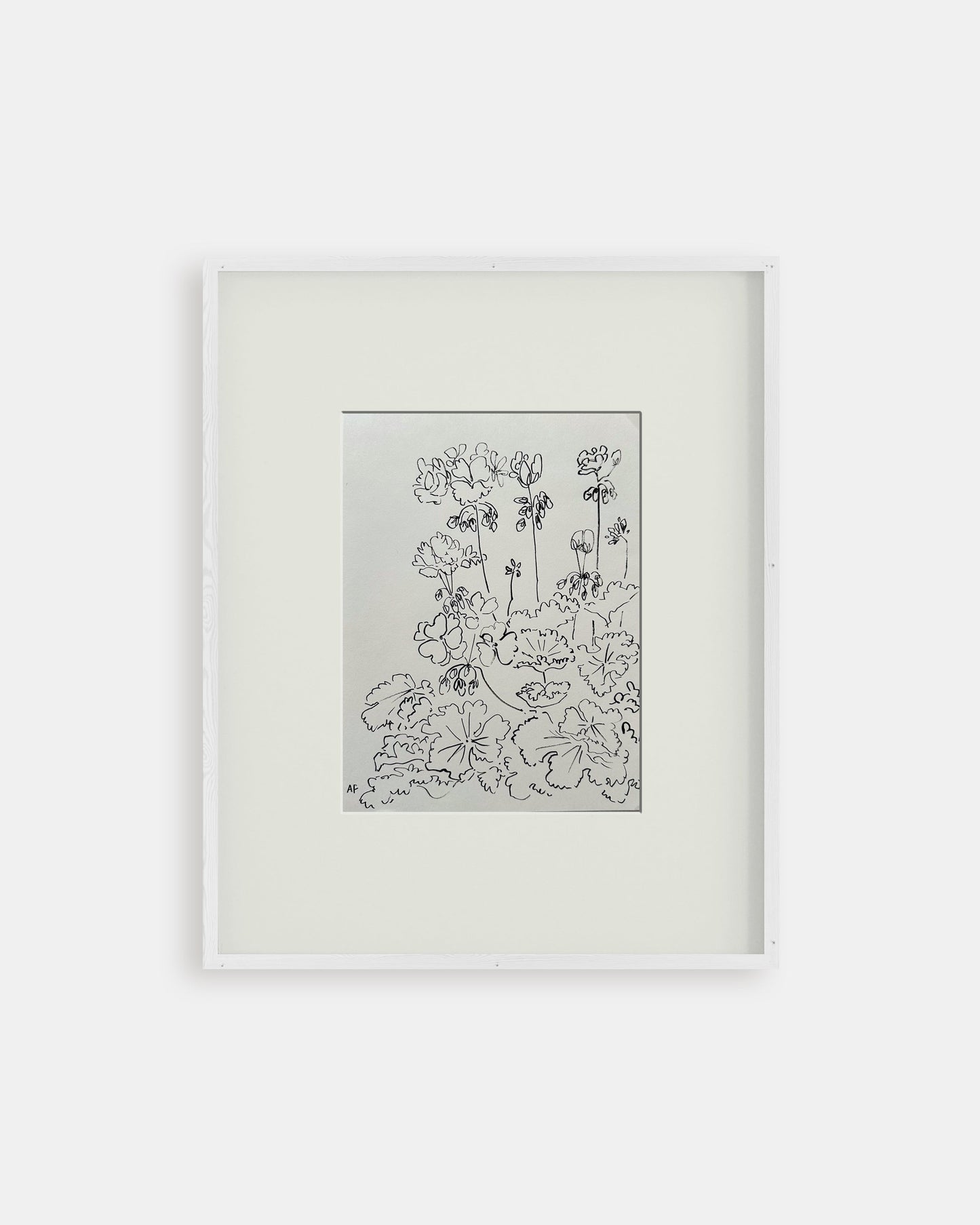 India Ink Geraniums