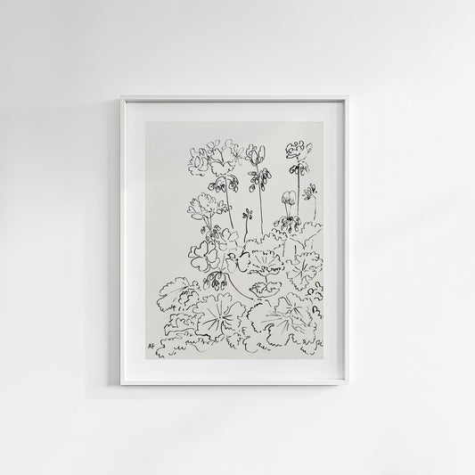 India Ink Geraniums