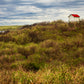 Lighthouse Shed