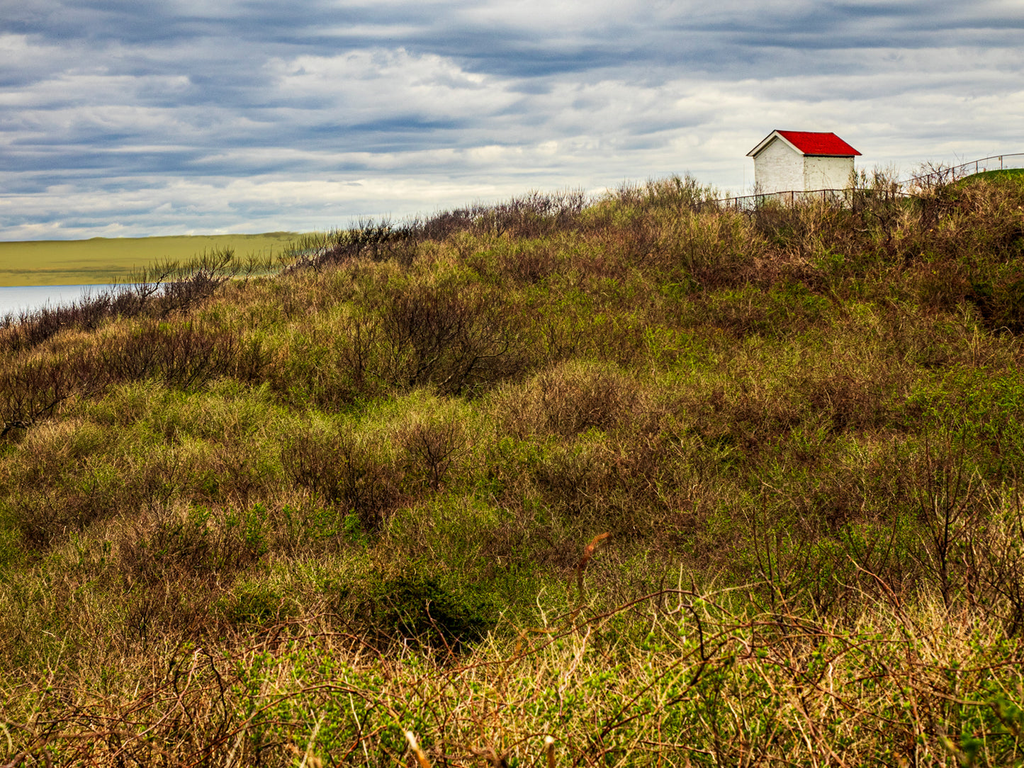 Lighthouse Shed