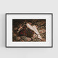 Framed surrealist portrait photograph