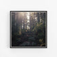 Framed photograph of a forest scene with sunlight filtering through the trees.