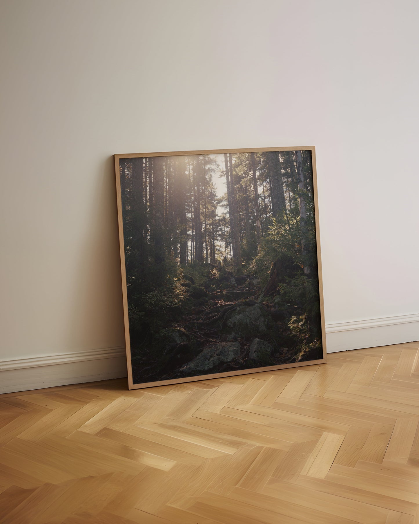 Framed photograph of a forest leaning on a wall in a room with wooden flooring.
