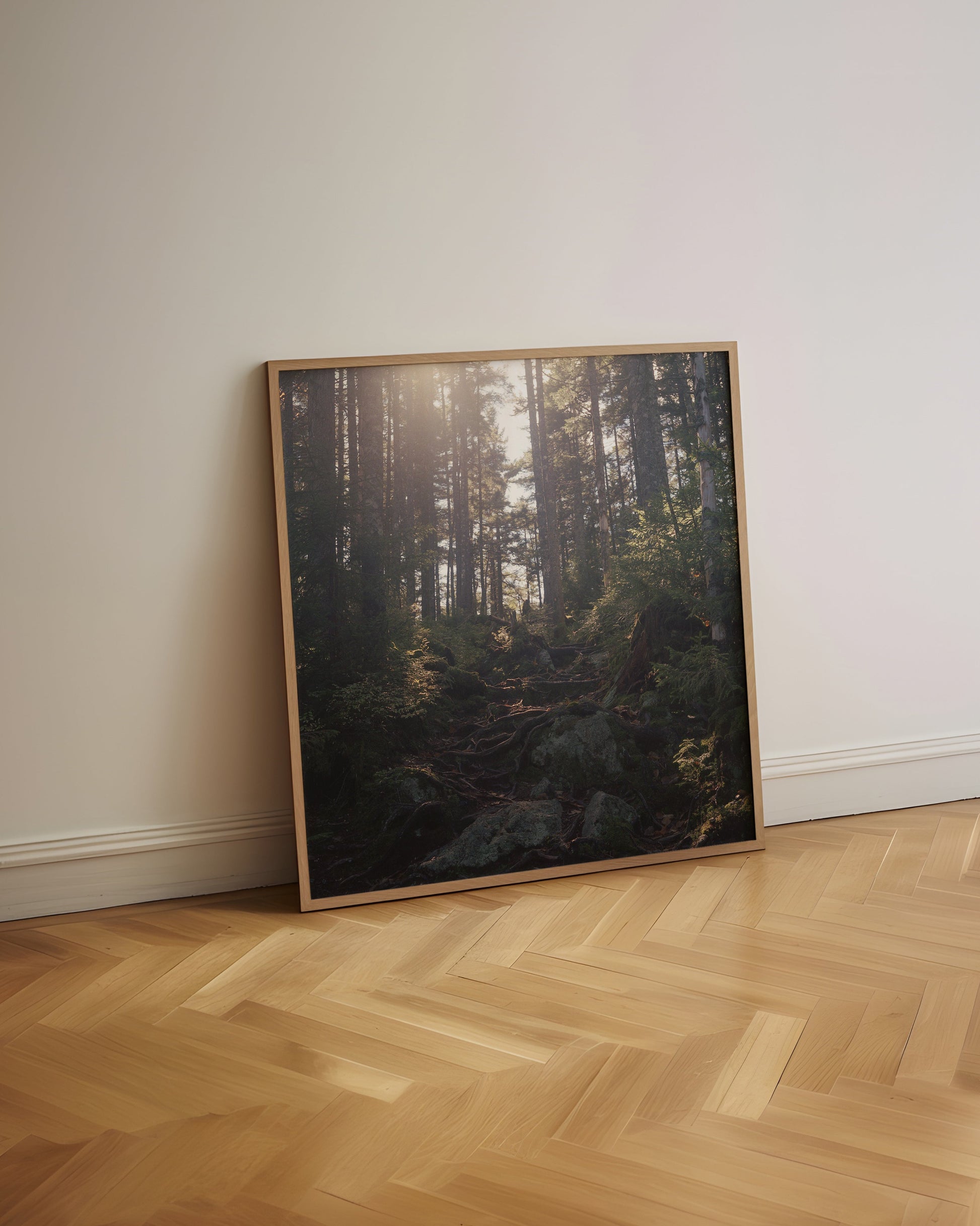 Framed photograph of a forest leaning on a wall in a room with wooden flooring.