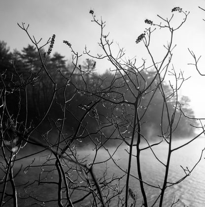 Walden Pond