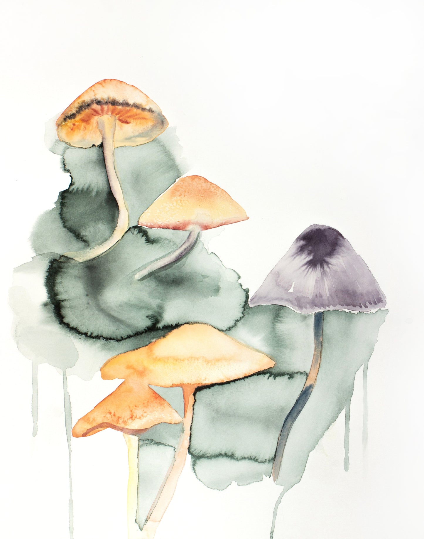 Mushrooms No. 17